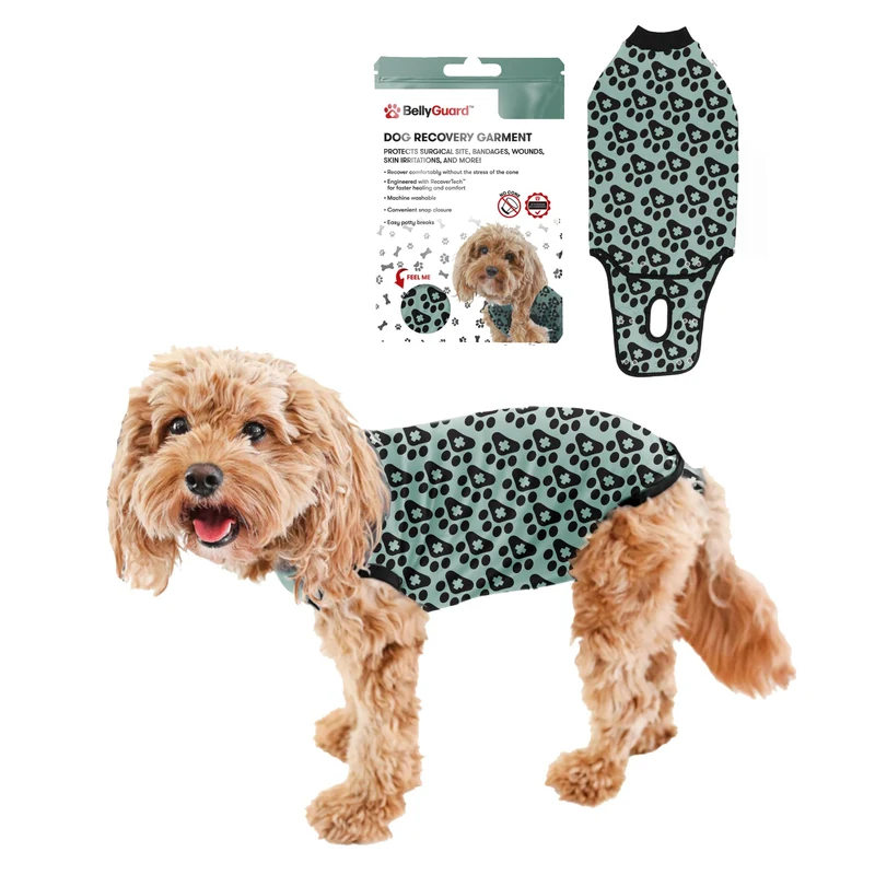 BellyGuard — Combinaison de récupération post-opératoire pour chien