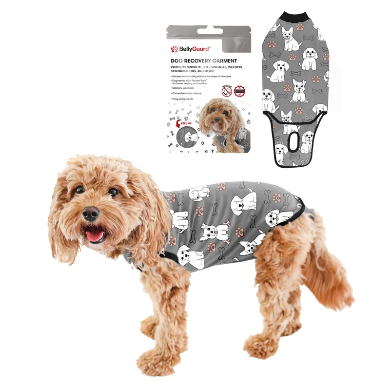 BellyGuard – Combinaison de récupération pour chien après chirurgie