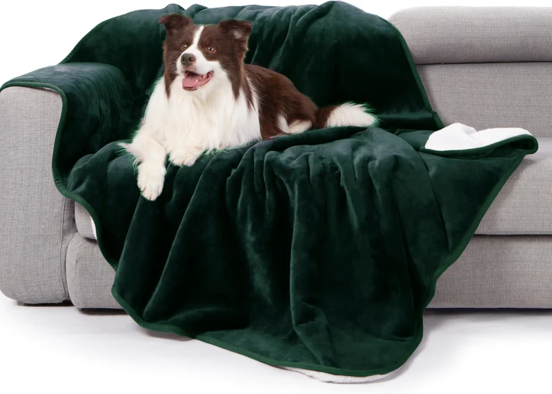 gogobunny Couverture de lit imperméable Sherpa réversible – 50x60 pouces, forêt verte
