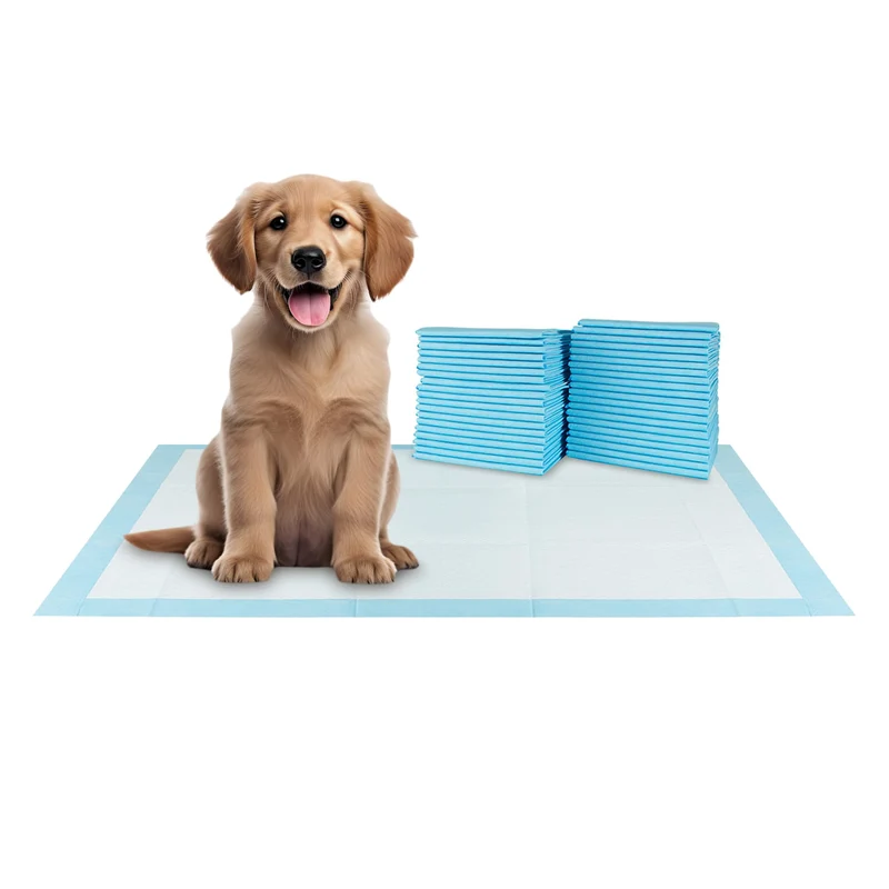 BV XXL Tapis-pipi pour Chiens — 40 Tapis 36 x 30 po, Anti-Fuite, 6 Couches, Attractant Intégré et Contrôle des Odeurs