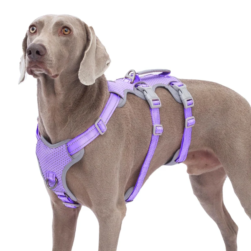 Huntboo Harnais Chien Anti-Traction - Poignée Rembourrée, Réfléchi, Ajustable 5 Points – Lavande Violet, Taille L