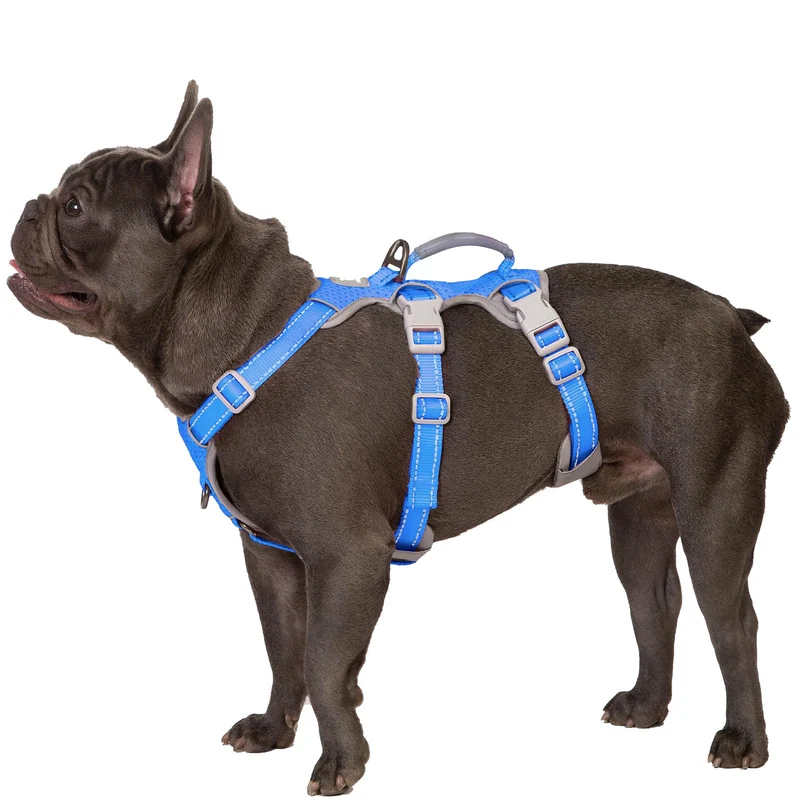 Huntboo Harnais Chien Anti-Évasion – Réfléchi, Poignée, Confort Respirant, Taille S – Sea Blue