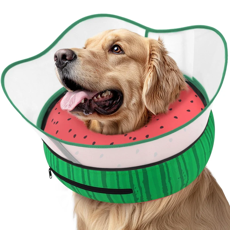 Supet Collier en forme de beignet gonflable pour chien – Confort et prévention du léchage