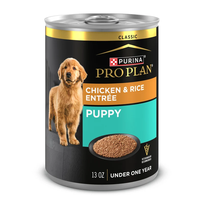 Purina Pro Plan Pâté Humide pour Chiots – Entrée Poulet et Riz Brun, Pack de 12 Boîtes de 13 oz