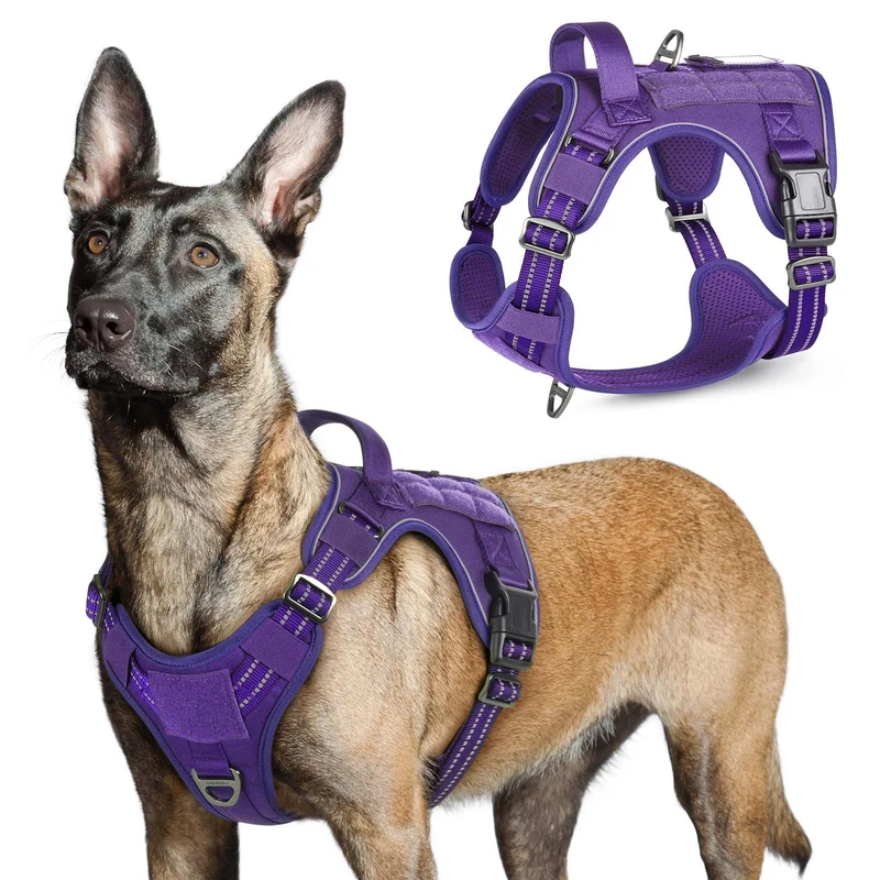 rabbitgoo Harnais tactique pour chiens de grande taille – Pas de tirage, poignée et Molle – Réglable et réfléchissant – Violet | Taille L