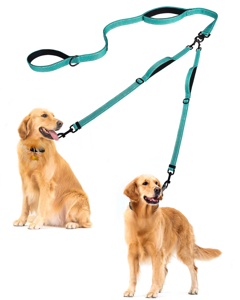 PetBonus Laisse Double Chien Sans Enchevêtrement (Turquoise, Grand) – 4 Poignées, Réfléchissante, Bol Pliable