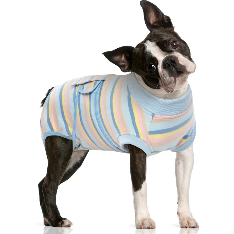 FUAMEY Combinaison de récupération pour chien après opération – Confort respirant et protection anti-léchage