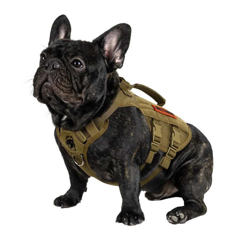 ONETIGRIS Harnais Tactique Sans Traction pour Chiens Petits — D-rings, MOLLE, Poignee et Mesh Respirant (XS, Marron)