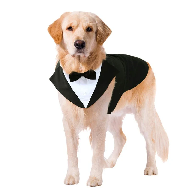 Kuoser Tuxedo pour Chien – Costume et Bandana pour Mariage et Fêtes | Tailles S à 2XL