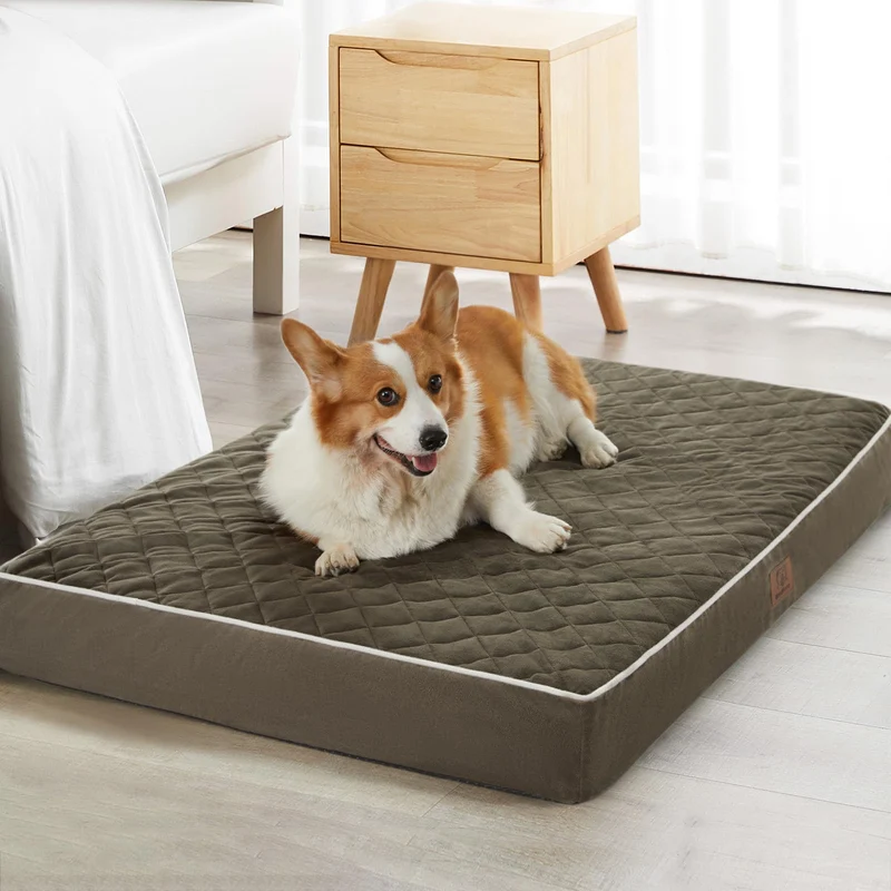 WNPETHOME - Lit Orthopédique XXL pour Chiens, Housse Lavable et Étanche