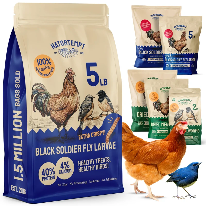 Hatortempt – 2,27 kg de larves noires séchées (BSFL) pour poules pondeuses, oiseaux sauvages et canards : calcium élevé et protéines élevées