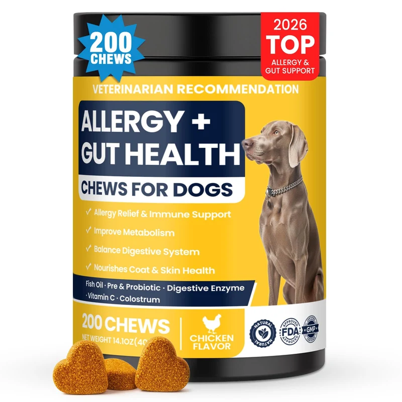 BFDEREN Chien – Bouchées Probiotiques pour Allergies, Peau et Digestion