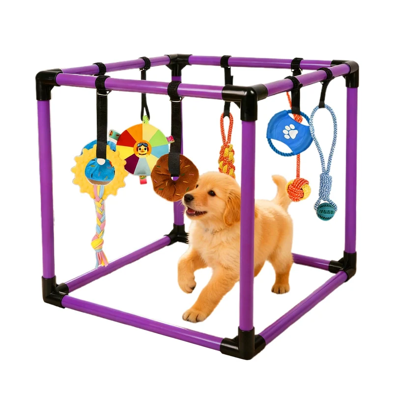 Qyswskj Puppy Play Gym — Gym intérieur pour chiots, 8 jouets suspendus, cadre PVC, sangles élastiques, violet