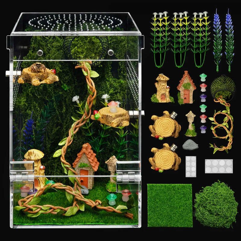 Clioran Enceinte Transparente pour Araignées Sauteuses – Kit Habitat Acrylique Anti-Fuite et Vue à 360°