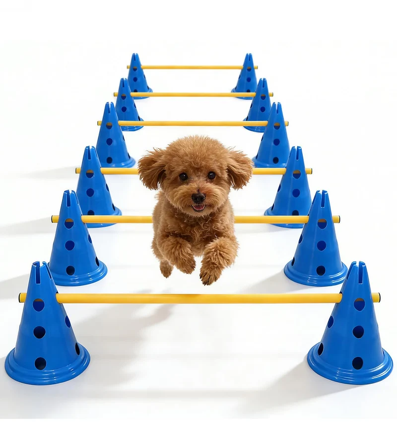 Toplamper – Ensemble de cônes d’agilité pour chien, 12 pouces, barre ajustable – Parcours débutants