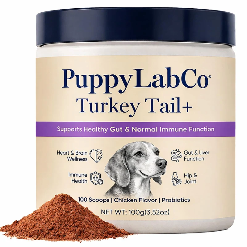 PuppyLabCo Turkey Tail – Poudre Probiotiques pour Chiens | Soutien Digestif et Immunitaire, Goût Poulet, 100 g