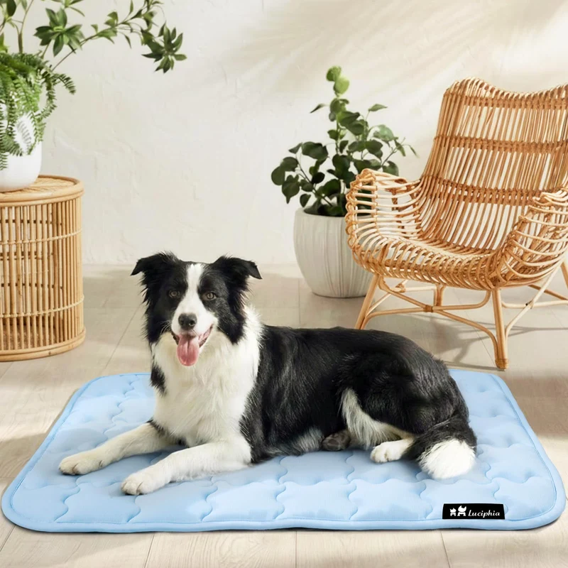 Luciphia Tapis Refroidissant pour Chien Grand – Non-Glissant, Lavable, 40x60 pouces