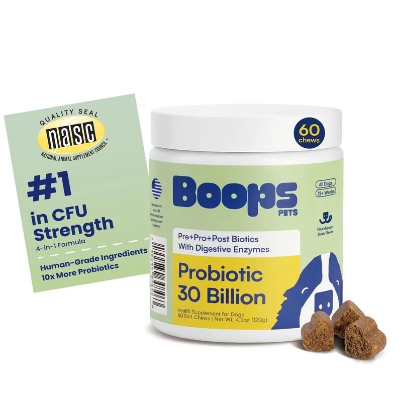 Boops Pets Probiotiques pour Chiens – 30 Milliards CFU, Saveur Filet Mignon, 60 Friandises