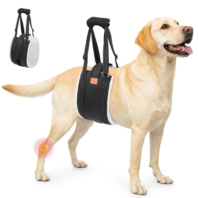 LOOBANI Harnais de levage pour chien – Soutien pattes arrières et mobilité, sling portable
