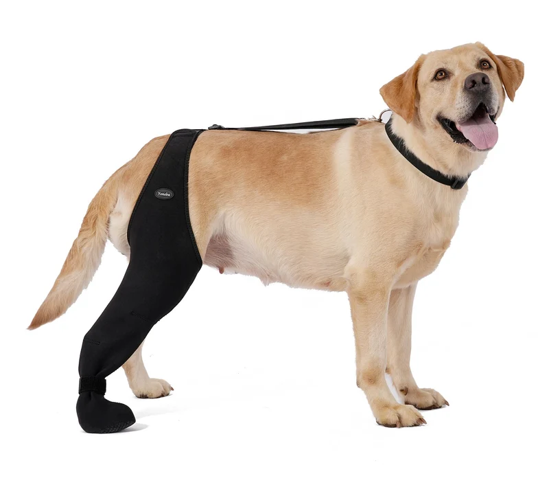 Yoneba Chaussettes anti-léchage pour chien — manchon de récupération respirant, ajustable (Taille L)