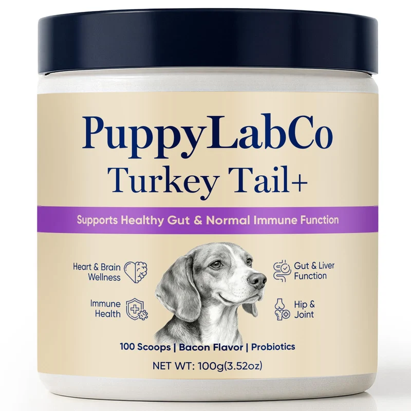 TOGOLIUN Puppylabco Tramète versicolore pour chiens – Soutien digestif et immunitaire, 100 dosettes Saveur bacon, Probiotiques 100 g