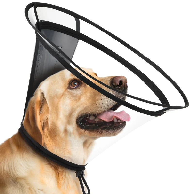 BONTHEE Cône de récupération transparent pour chien – XXL, adjusta ble et sûr