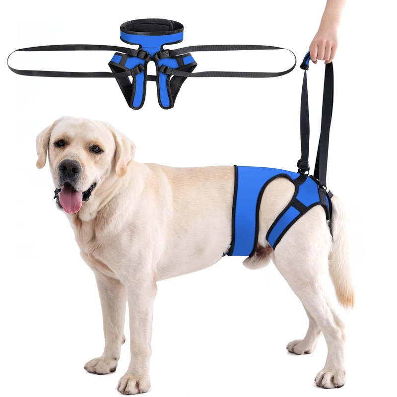 LIANZIMAU Harnais de levage pour chiens de grande taille – Soutien des pattes arrière et mobilité