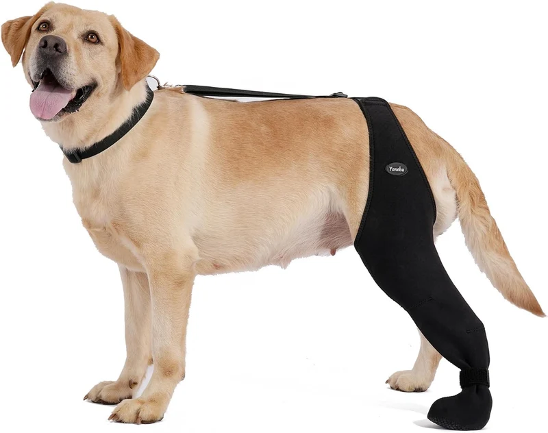 Yoneba Chaussettes anti-lechage pour chien – Manchon respirant ajustable (XL-Gauche)