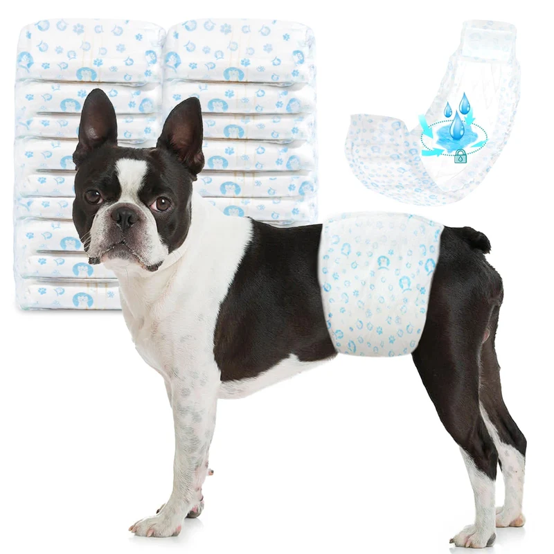 ELEGX Couches pour Chien Mâle – 100 Unités Taille S, Indicateur d’humidité et Absorption Ultra-Rapide