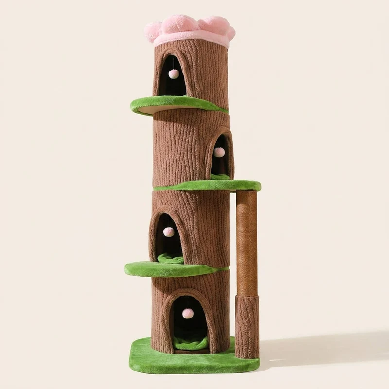 Grand arbre à chat fleur — Kusa