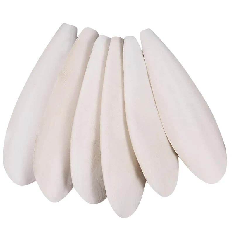 Ovveroche Cuttlebone Naturel – 6 Pièces pour Oiseaux et Petits Animaux (11–11,5 cm)