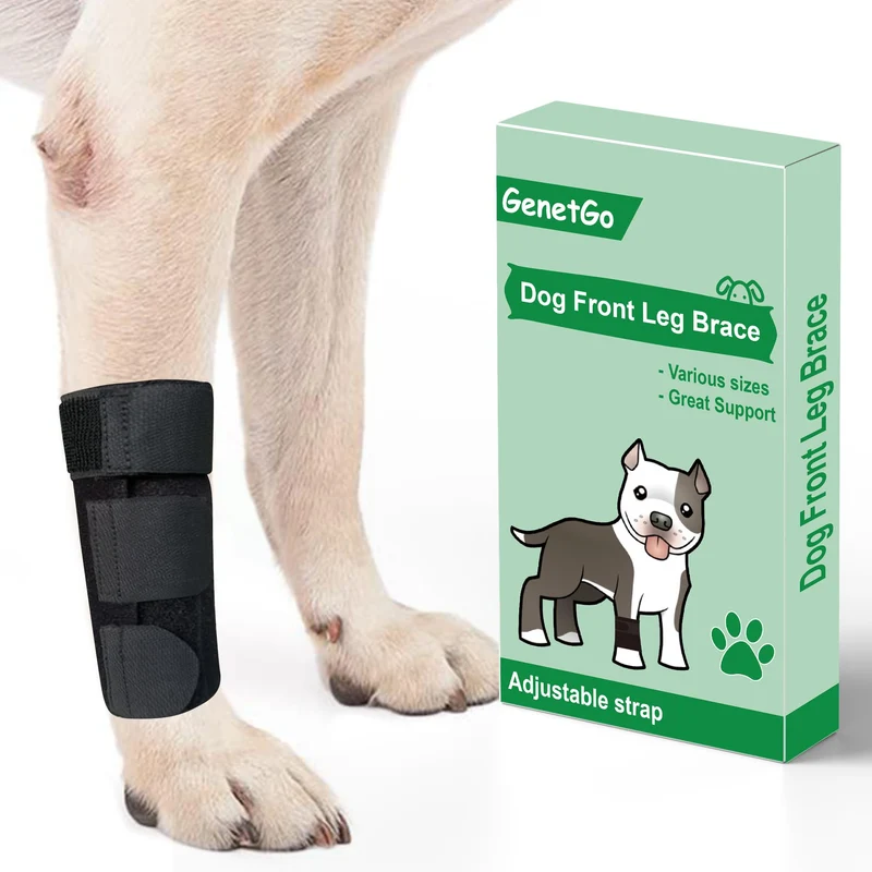 GenetGo Attelle Patte Avant pour Chien — Soutien, Compression et Stabilité