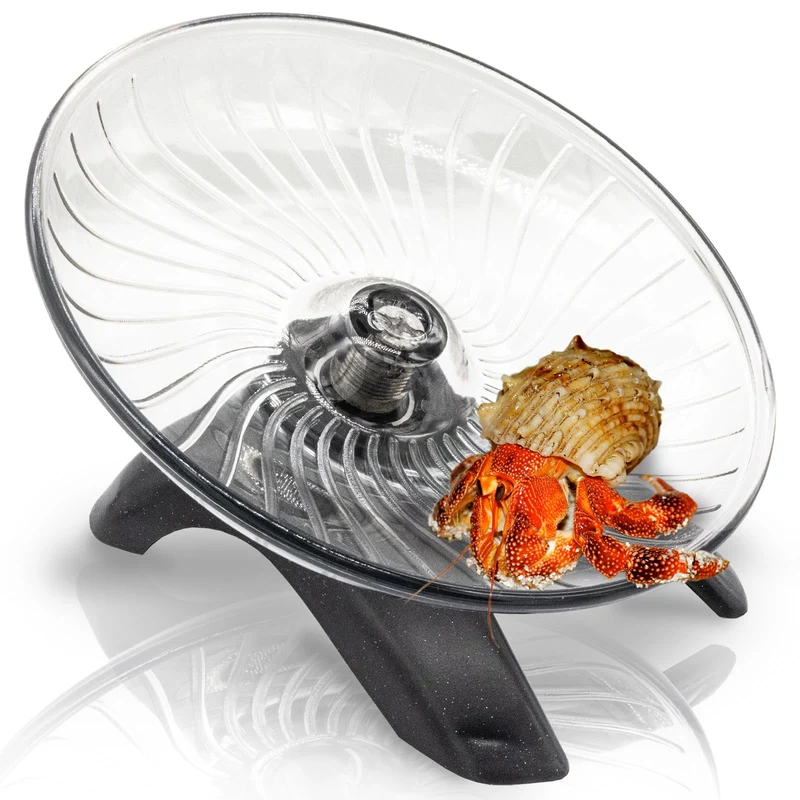 Roue d’exercice silencieuse pour crabe ermite – NIUOHOY, 12,7 cm