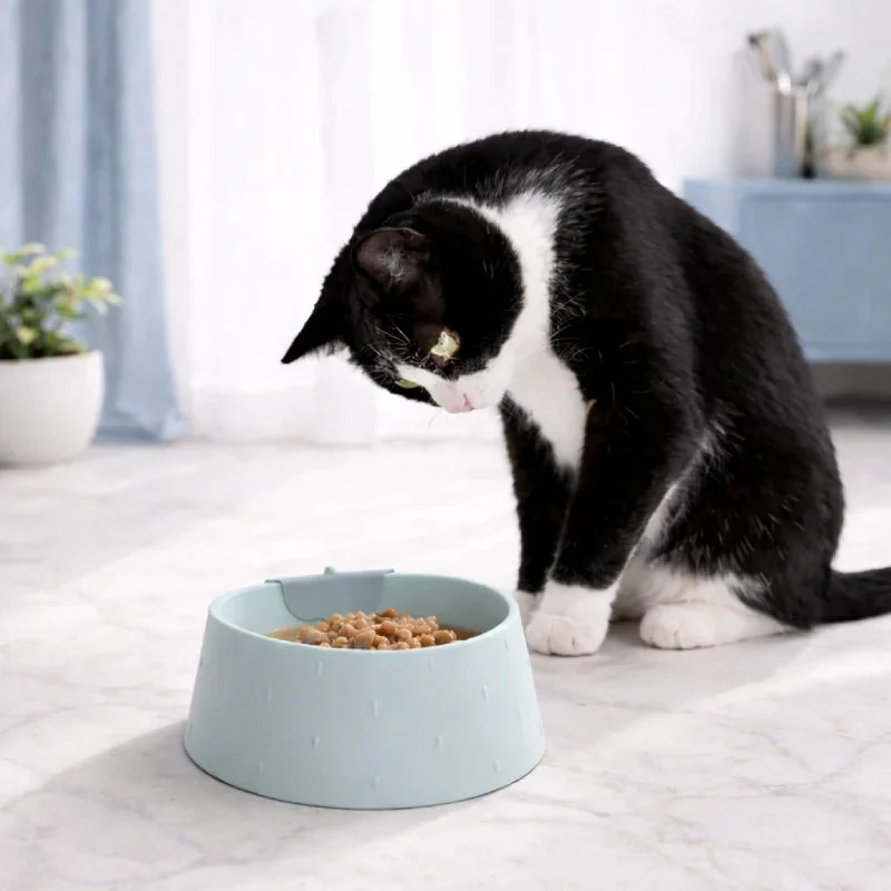 Gamelle chat anti renversement › Galéor