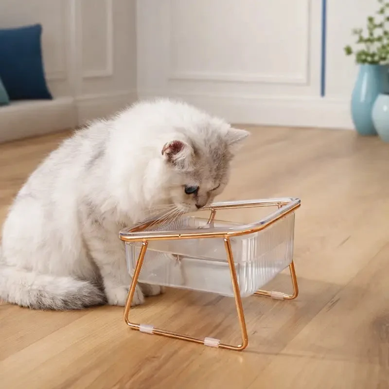 Gamelle chat eau › Gaïdra
