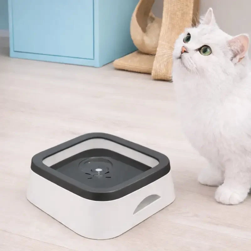 Gamelle eau chat › Gao