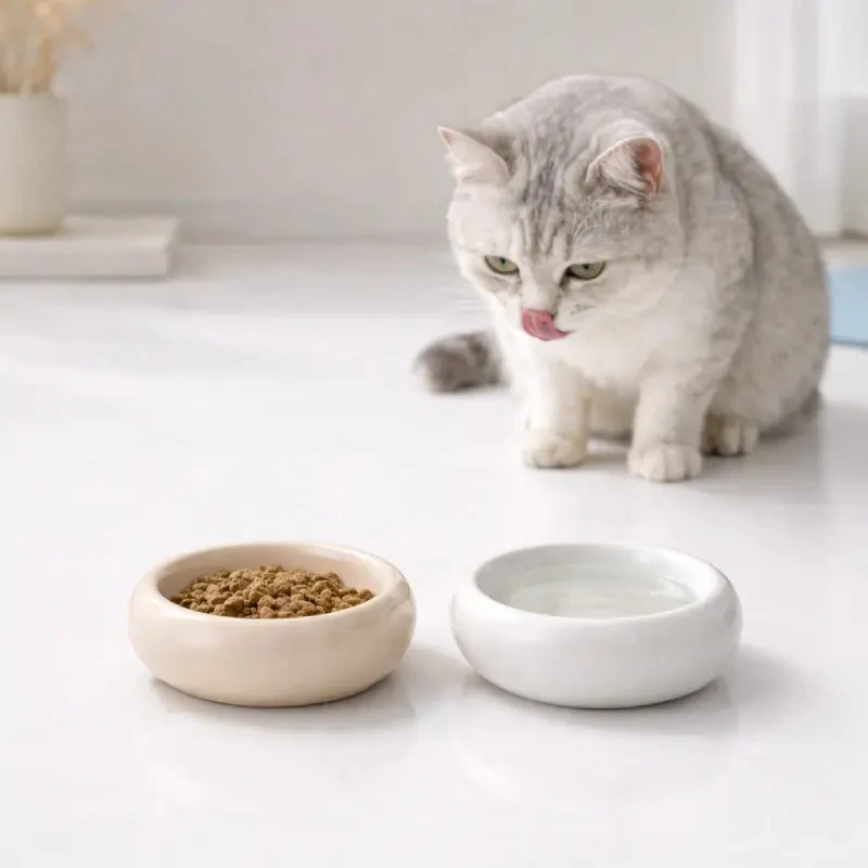 Gamelle chat céramique › Gacéra