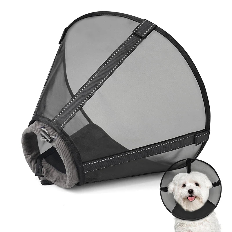 Joypig Collier Conique Respirant pour Chiens — Récupération Confortable