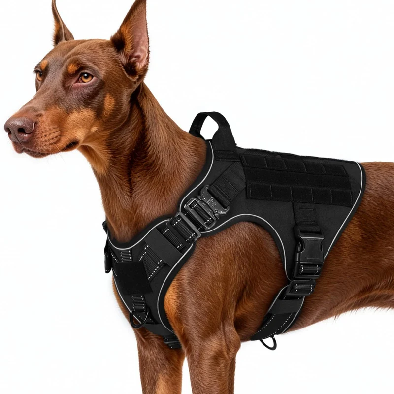 rabbitgoo Harnais Tactique pour Chien Grand – Anti-Tirage, MOLLE, Réfléchi et Poignée (Taille L)