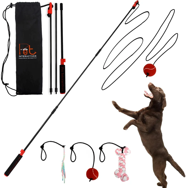 PET Wrangler 2.0 – Flirt pole interactif pour chiens, corde 10 ft et 3 leurres interchangeables