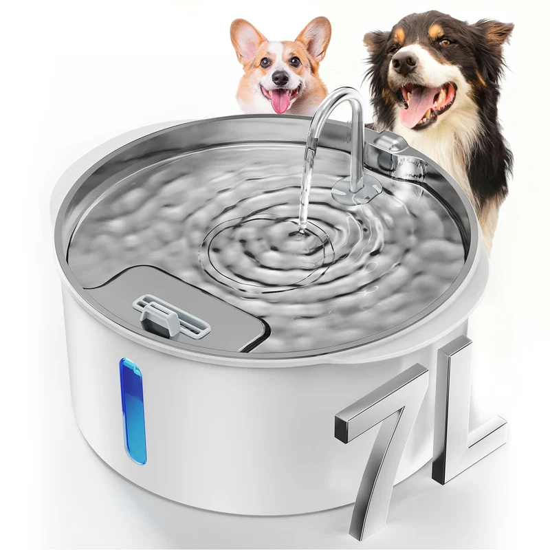 PEKTACO Fontaine d'eau pour chien grand modèle 7 L – Fenêtre, LED, silencieuse, plateau inox, BPA-free (1 filtre inclus)