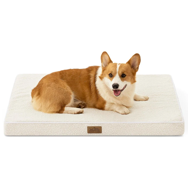 COZY KISS Lit orthopédique rectangulaire pour chien grand – 36x27x3 po, base anti-dérapante, housse lavable beige