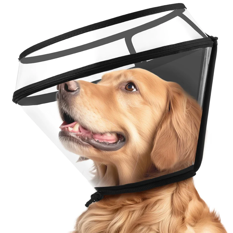 BONTHEE Collier Conique pour Chien – Design Pliable à Deux Profondeurs, Après Chirurgie, Tailles S-XXXL