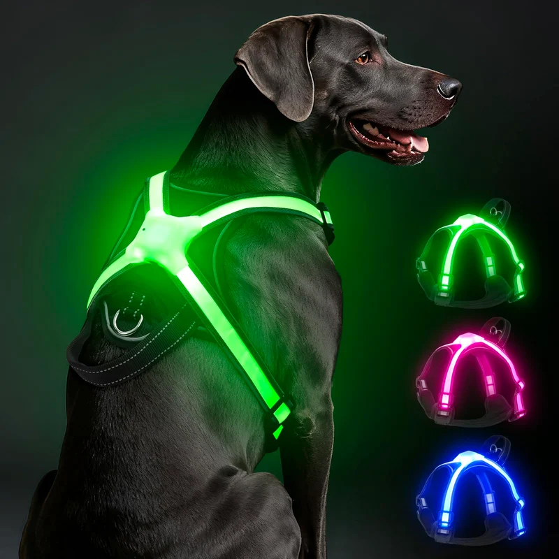 Visinite Harnais Chien Lumineux Multicolore — LED, Réfléchant, USB-C, Sans Tirage (Taille Large)