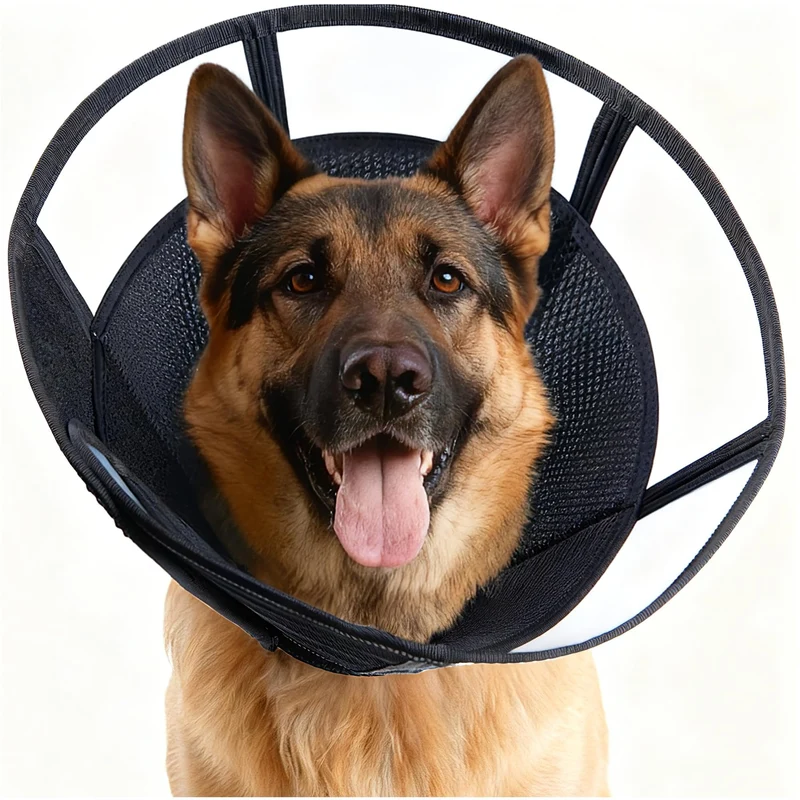 MoonyMars Cone Doux pour Chien XL – Collier Rétablissement Transparent (30 cm)