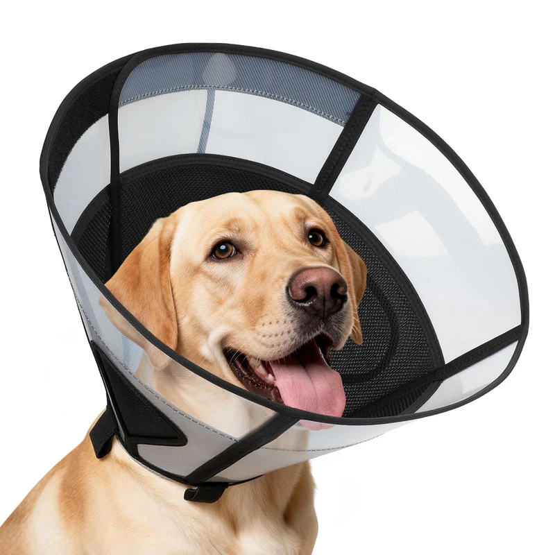 REOMORE Cône Souple pour Grands Chiens – PVC Transparent, Fenêtres en Maillage et Confort Post-Chirurgie