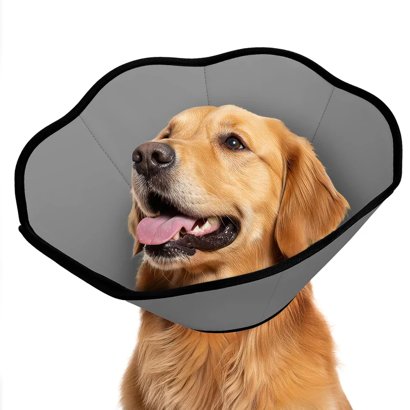 MIDOG Collier-Cône Après Chirurgie pour Chiens – Confort et Protection Ajustable