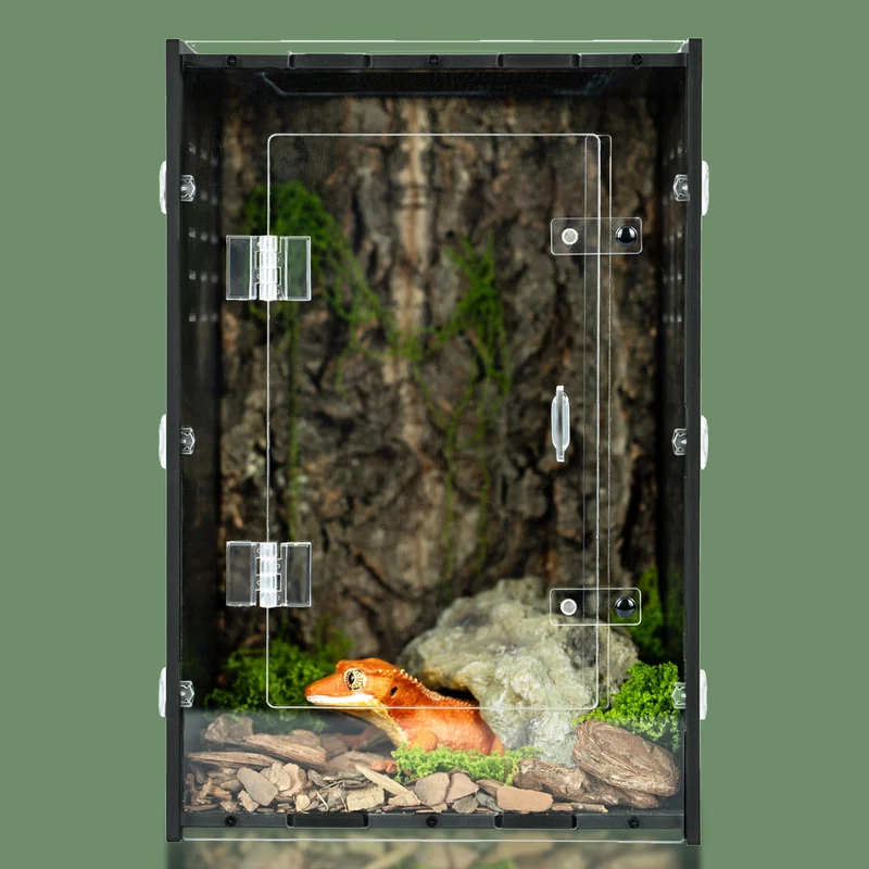 Maiyuolg Terrarium Reptile 8x8x12 en PVC – Enceinte pour Gecko a Crete, Petits Reptiles et Invertebres