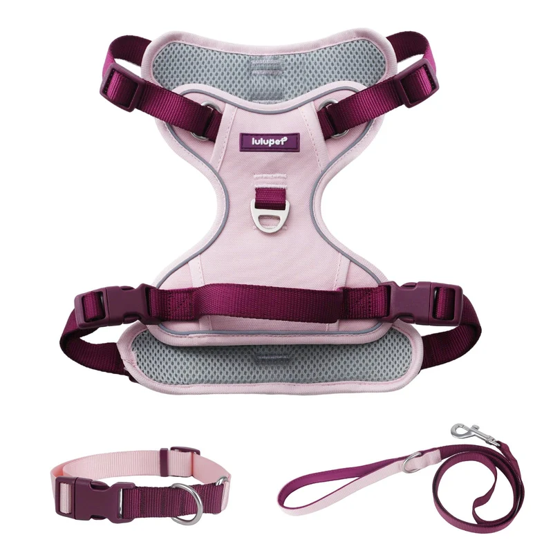 LULUPET Harnais 3-en-1 pour Chien – Laisse et Collier Réglables et Réfléchissants (Rose Moyen)