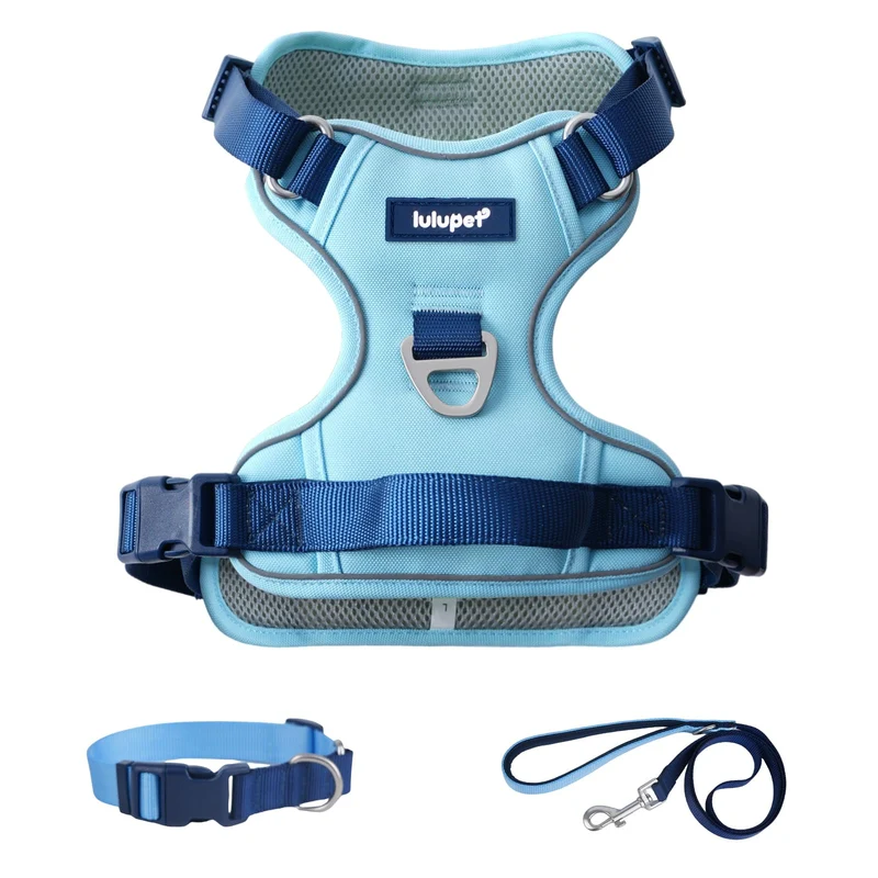 LULUPET Harnais 3 en 1 pour Chien – Laisse et Collier, Veste Réfléchissante et Douce, Poignée Confortable, Bleu Moyen